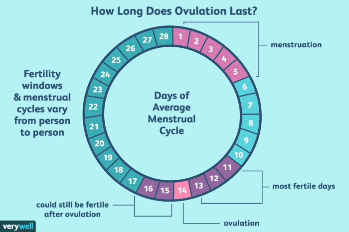 During the period 2.5-1.0 mya